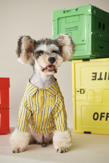 Ρούχα για σκύλους 3 χρωμάτων Νέα πουκάμισα για κατοικίδια Ανοιξιάτικα ρούχα για σκύλους γάτες Μικρό πουλόβερ για κουτάβι Schnauzer Akita Pug ριγέ πουκάμισο για κατοικίδια