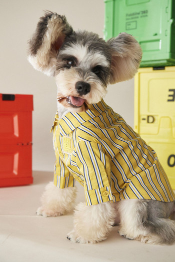 3 цвята Дрехи за кучета Нови ризи за домашни любимци Пролетно облекло за кучета Котки Малко кученце Пуловер Шнауцер Акита Мопс Раирана риза за домашни любимци