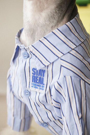 3 цвята Дрехи за кучета Нови ризи за домашни любимци Пролетно облекло за кучета Котки Малко кученце Пуловер Шнауцер Акита Мопс Раирана риза за домашни любимци