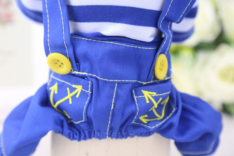 Oblečenie pre domáce zvieratá, oblečenie pre domáce zvieratá a oblečenie pre psy a psy na jar a v lete