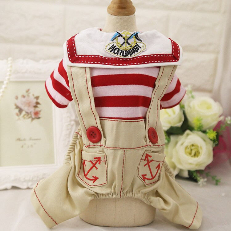 Oblečenie pre domáce zvieratá, oblečenie pre domáce zvieratá a oblečenie pre psy a psy na jar a v lete