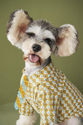 Ρούχα για κατοικίδια φθινοπωρινό λεπτό φλοράλ πουκάμισο σκύλος Teddy VIP Corgi Schnauzer πουκάμισο για σκύλους γάτας μικρού και μεσαίου μεγέθους σκυλάκια