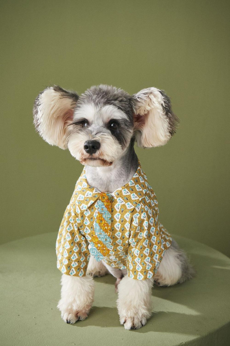 Drabužiai naminiams gyvūnėliams rudeniniai ploni gėlėti marškinėliai šuniui Teddy VIP korgis šnauceris katės šunų marškinėliai mažiems ir vidutinio dydžio šunims