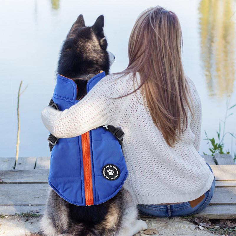 Koeramantel rakmetega hubane veekindel tuulekindel ümberpööratav talvekoera jope Koerajope rakmed talvesooja vestiga jope veekindel