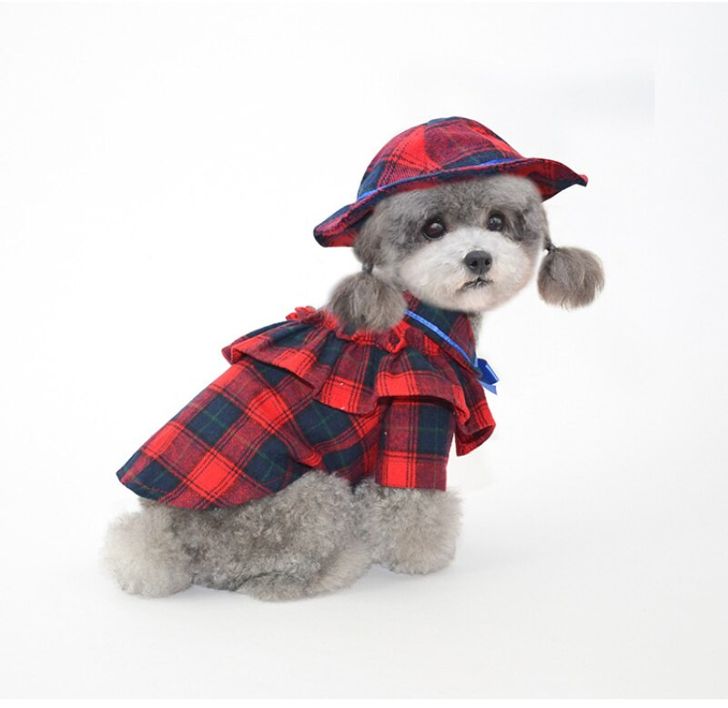 Zimná košeľa pre psa s čiapkou, čiapkou, mačkou, šteniatkom, oblečením pre malých psov, Yorkshirským Pomeranian Pudelom, Bichon Oblečením pre domáce zvieratá, dropshippingovým kabátom pre psa