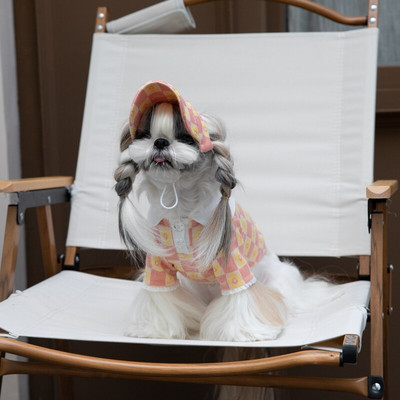 Cămașă pentru câine de iarnă Pălărie Pisică Câine mic Animale de companie Îmbrăcăminte Haina Chihuahua Yorkshire Terrier Pomeranian Shih Tzu Shih Tzu Pudel Haine