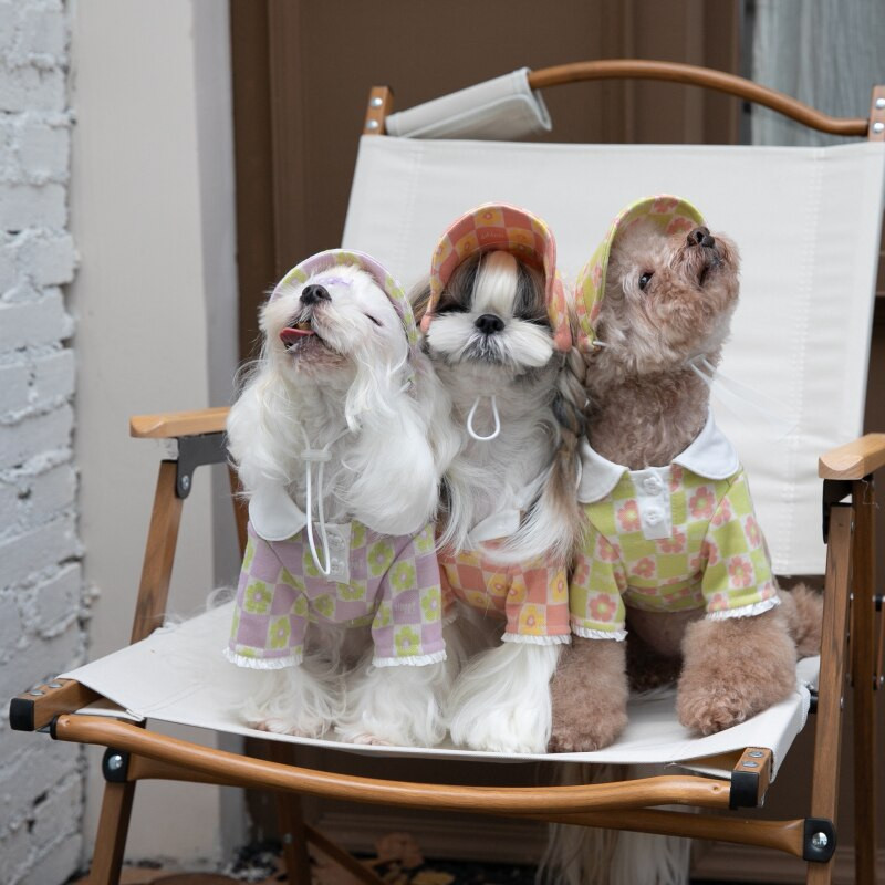 Cămașă pentru câine de iarnă Pălărie Pisică Câine mic Animale de companie Îmbrăcăminte Haina Chihuahua Yorkshire Terrier Pomeranian Shih Tzu Shih Tzu Pudel Haine