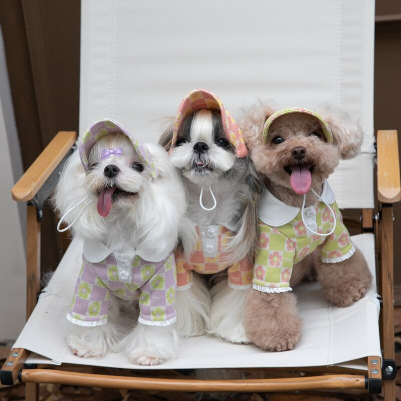 Cămașă pentru câine de iarnă Pălărie Pisică Câine mic Animale de companie Îmbrăcăminte Haina Chihuahua Yorkshire Terrier Pomeranian Shih Tzu Shih Tzu Pudel Haine