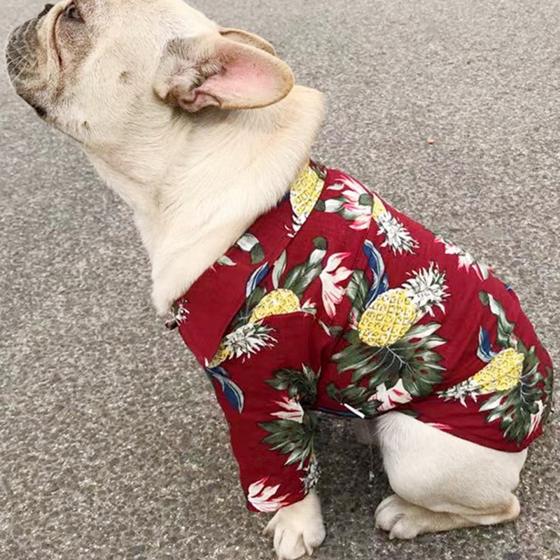 Tricou Vestă Câine Hawaian Mic Chihuahua Îmbrăcăminte Animal de companie de vară Floral șifon cu mânecă scurtă Cămăși respirabile imprimate