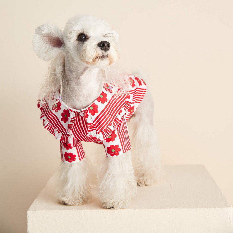Šunų drabužiai Šunų marškinėliai mažiems šunims šuniukų drabužiai Prabangūs šunų drabužiai Šunų marškinėliai šunims Marškiniai katėms augintiniams Gėlių marškinėliai