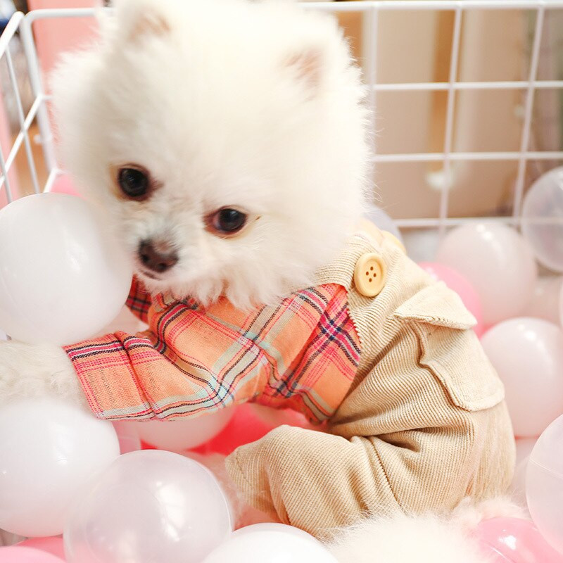 Oranž Koera T-särk Khaki Jumpsuitiga Suvine Väike keskmise suurusega Loom Saksa Spits Shih Tzu Kombinesoonid Armsad Riided Poetarbed