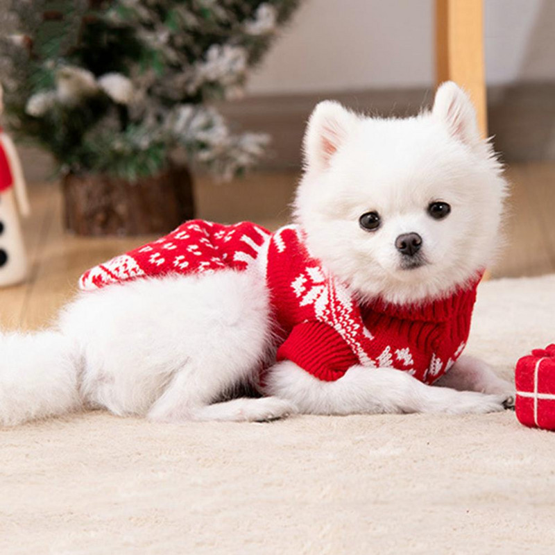 Keep Warm Turtleneck imprimeu desene animate cu două picioare pisică câine pulover pulover articole pentru animale de companie