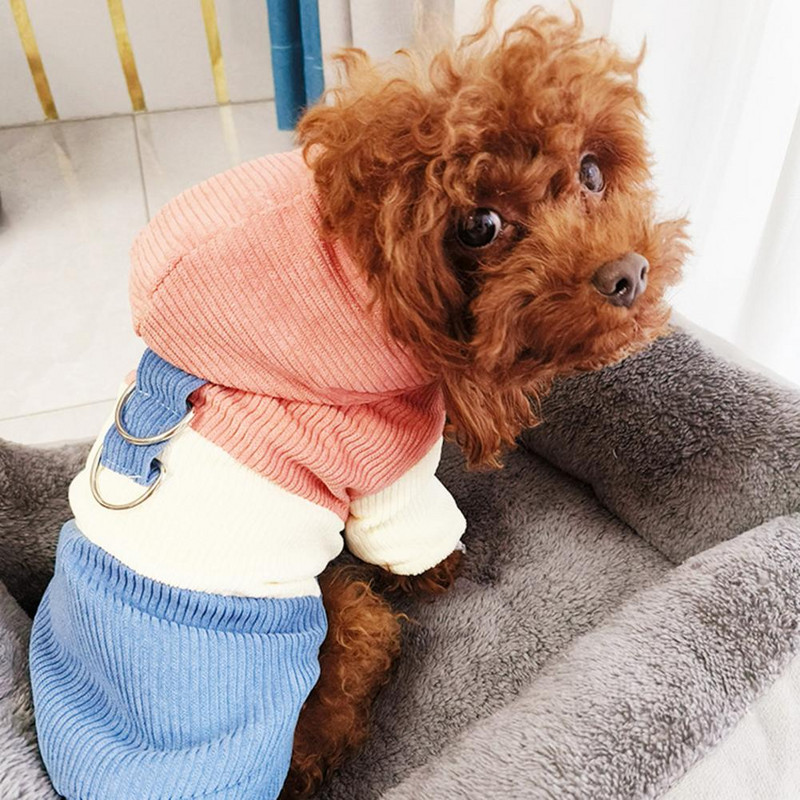 Armsad talvised koerariided Pestav koera puuvillane jope Värvi blokeeriv Hoia soojas Kahe jalaga lemmikloomakoera kapuutsiga jope