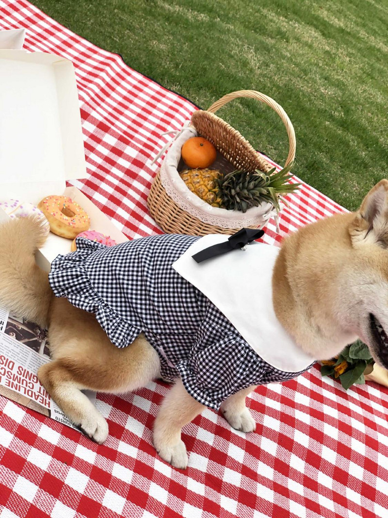 Moodne ruuduline särk lemmikloomakoertele Uued riided koertele Kasside suveriided Akita Schauzeri särk Kutsika riided Lemmiklooma riided