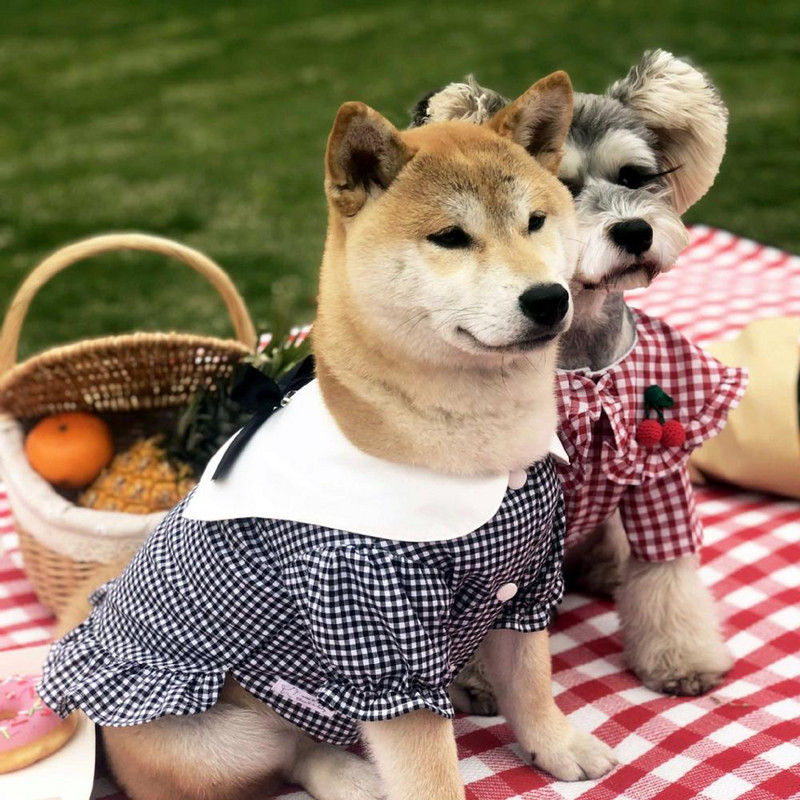 Moodne ruuduline särk lemmikloomakoertele Uued riided koertele Kasside suveriided Akita Schauzeri särk Kutsika riided Lemmiklooma riided