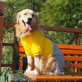 Пролетни дрехи за големи кучета пролет и лято голямо куче фалшив прашка от две части розово жълто облекло за четири крака голямо куче