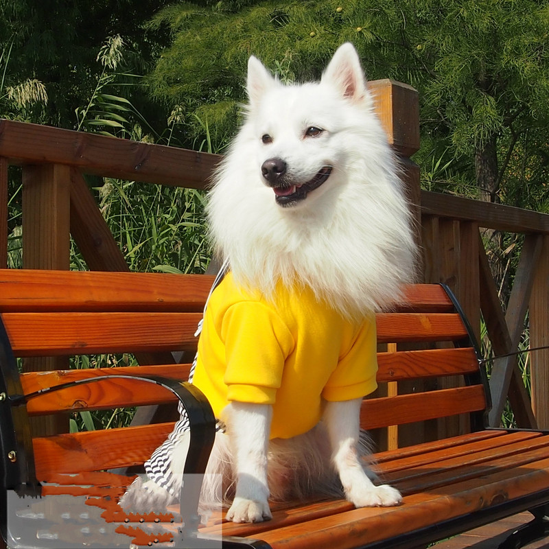 Jarné oblečenie pre veľkých psov, jarné a letné oblečenie pre veľkých psov, falošný dvojdielny závesný šnúrkový ...