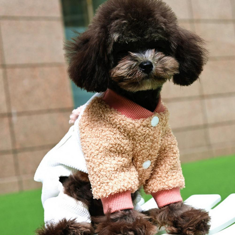Neklizajuće lijepe četiri tajice Odjeća za kućne ljubimce Štrampa za kućne ljubimce protiv pada Dizajn medvjeda za zimu