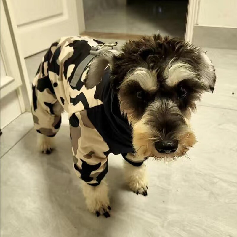 Zimný nepremokavý overal pre domáce zvieratá s francúzskym buldočkom, teplý polstrovaný overal pre psov pre malé a stredné psy, Shiba Inu, Corgi, maskoty