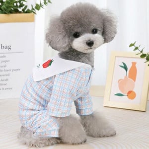 Oblečenie pre psov s dúhovými pásikmi, overal pre psov, pyžamo pre malých psov, čivavu, šteniatka, mikiny s kapucňou, tričká s krátkym rukávom, domáce zvieratá, overaly, pyžamo