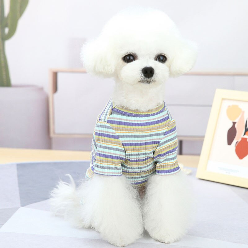Oblečenie pre psov s dúhovými pásikmi, overal pre psov, pyžamo pre malých psov, čivavu, šteniatka, mikiny s kapucňou, tričká s krátkym rukávom, domáce zvieratá, overaly, pyžamo