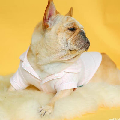 Lemmiklooma kostüüm Kirkie koerariided kevadsuvised õhukesed triibulised kassi koerasärgid lemmikloomariided