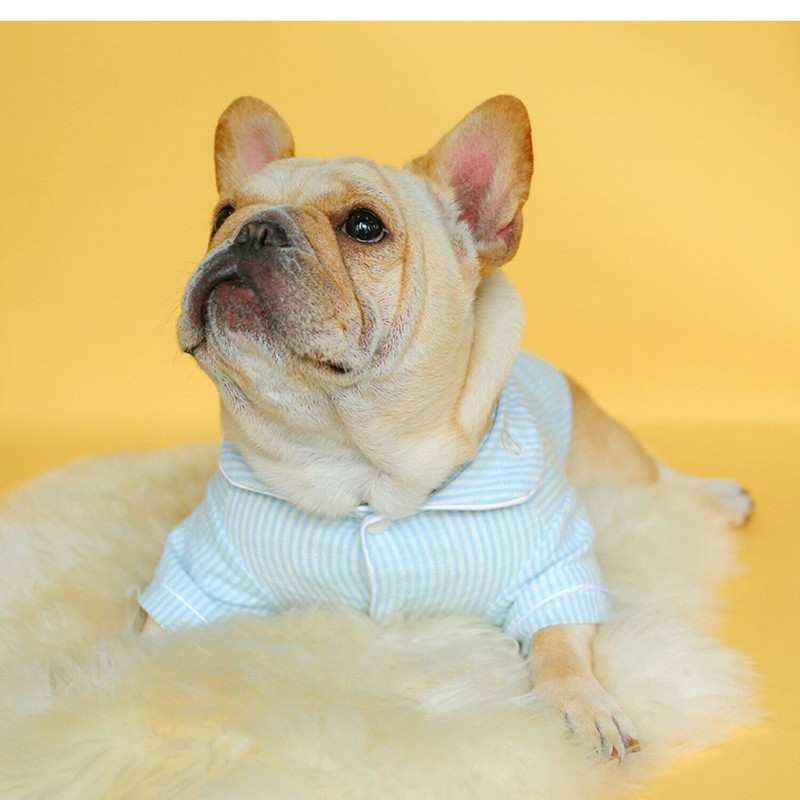 Lemmiklooma kostüüm Kirkie koerariided kevadsuvised õhukesed triibulised kassi koerasärgid lemmikloomariided