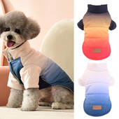 Šunų striukė Buldogo drabužiai Neperšlampami terminiai dvikojų Čihuahua prancūziškų meškiukų reikmenys