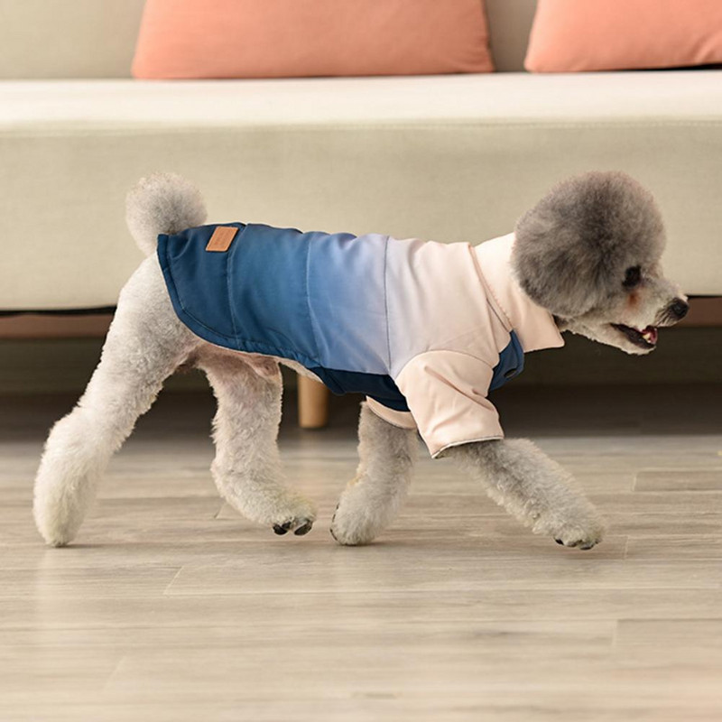 Šunų striukė Buldogo drabužiai Neperšlampami terminiai dvikojų Čihuahua prancūziškų meškiukų reikmenys