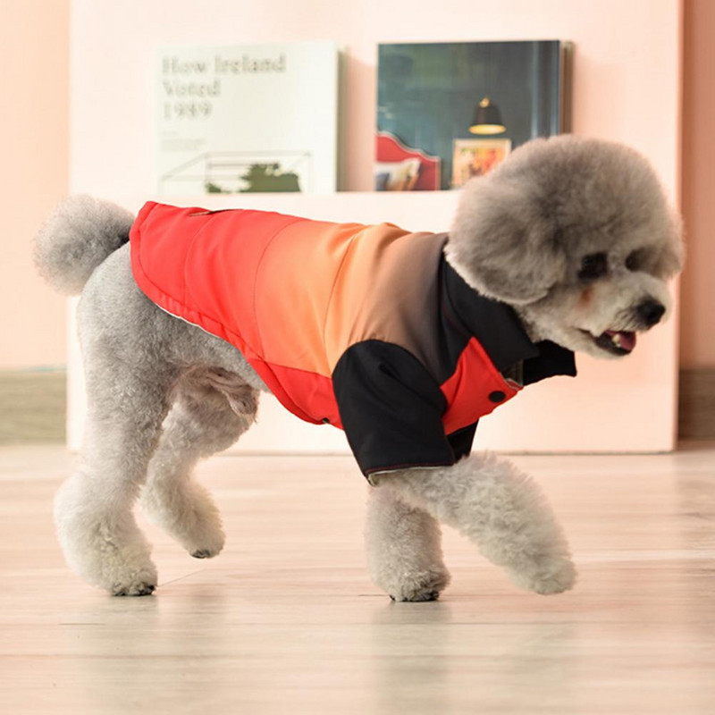 Šunų striukė Buldogo drabužiai Neperšlampami terminiai dvikojų Čihuahua prancūziškų meškiukų reikmenys