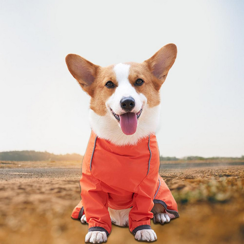 Koerariided Stiilne kahe jalaga lemmiklooma jope Veekindel lemmikloomade riided Kahe jalaga lemmikloomarõivaste jope sügiseks õue