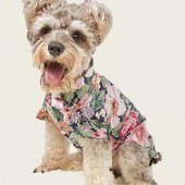 Stiilne lemmikloomasärk Armas kaunistav lemmiklooma T-särk tugevdatud õmblusega kutsika Chihuahua trükitud kampsun