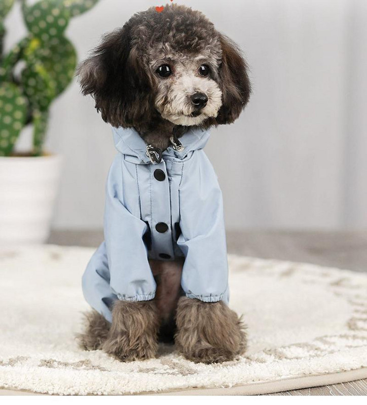 Oblek pre psa, šteňací overal, luxusné oblečenie pre domáce zvieratá, kombinéza pre psa, športové oblečenie, overal pre psov, oblečenie pre yorkshirských teriérov, klobúk...