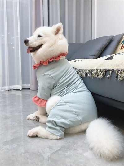 Mados milžiniškų šunų kombinezonas Drabužiai Pudelis samojedas