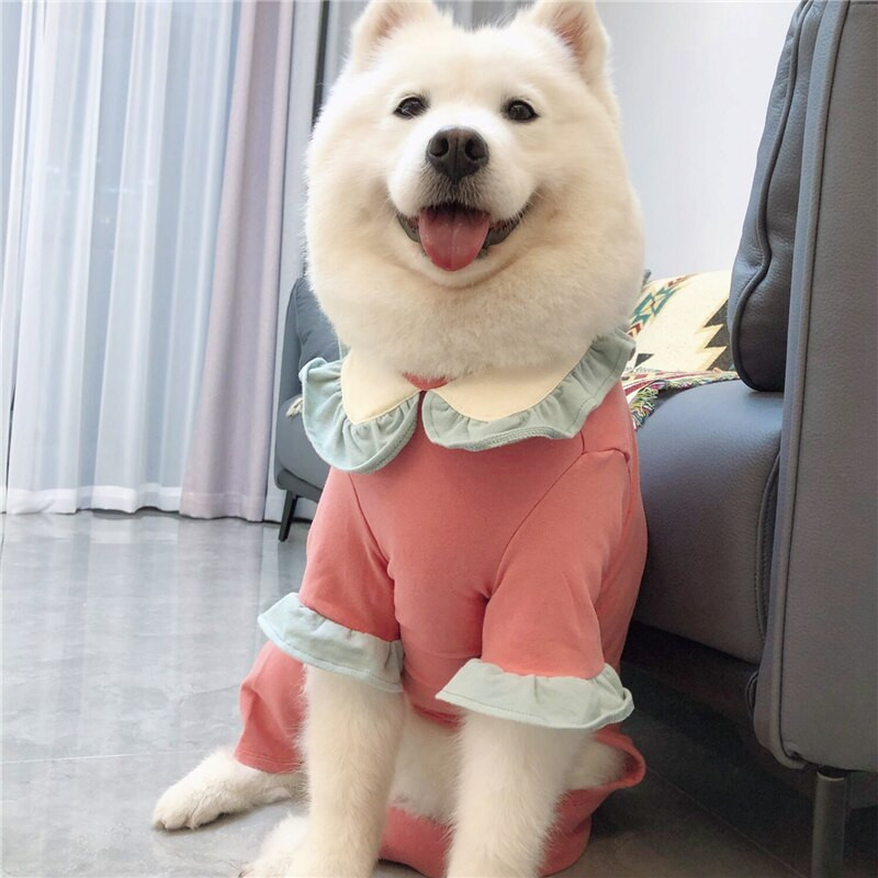 Mados milžiniškų šunų kombinezonas Drabužiai Pudelis samojedas