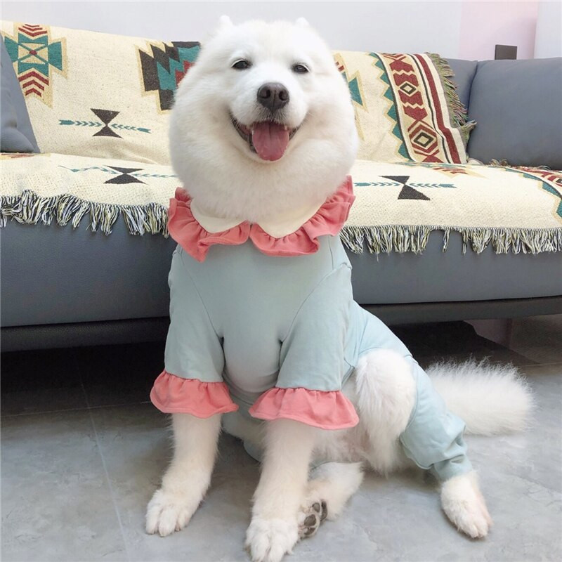 Mados milžiniškų šunų kombinezonas Drabužiai Pudelis samojedas