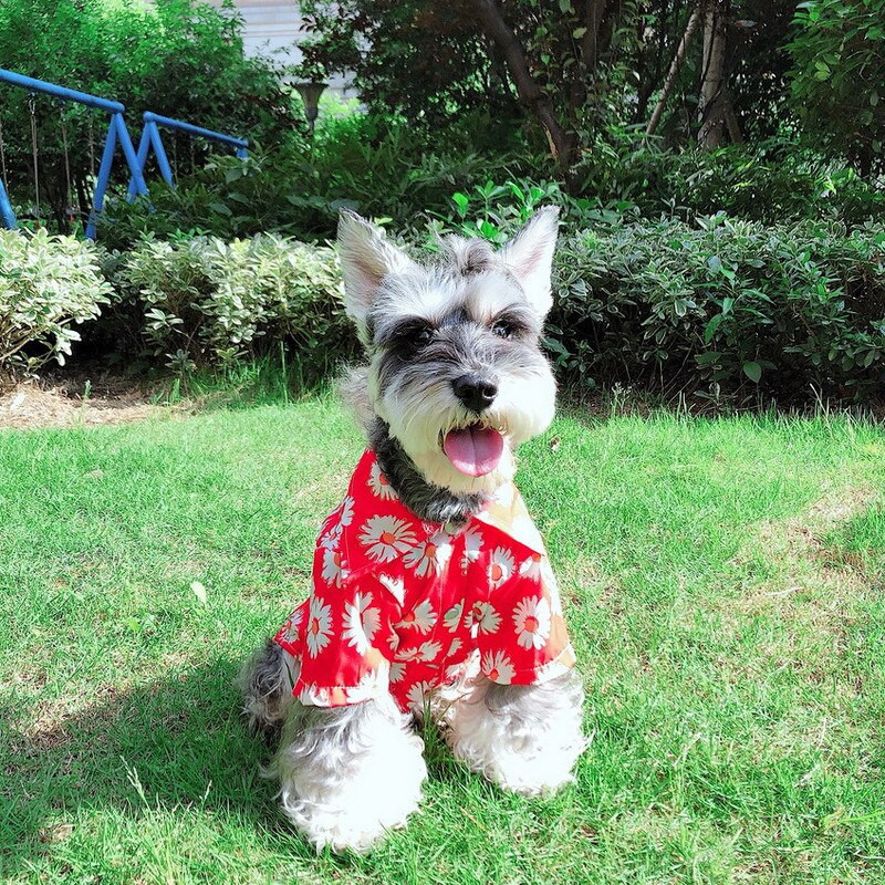 Havajské tričko pre psov, francúzsky buldoček, mikina s kapucňou pre psov, oblečenie pre domáce zvieratá, bavlnené módne oblečenie pre psy, mačky, šteniatka, malé dovolenkové oblečenie na more