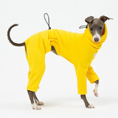 Lemmikloomad Tooted Moodsad kostüümid itaalia hurta ja whibit talveks