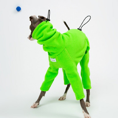 Lemmikloomad Tooted Moodsad kostüümid itaalia hurta ja whibit talveks