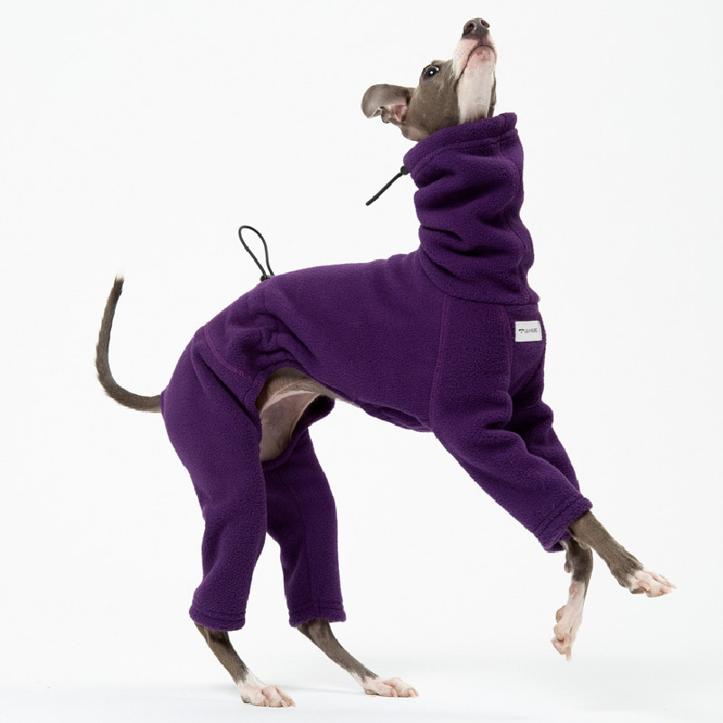 Lemmikloomad Tooted Moodsad kostüümid itaalia hurta ja whibit talveks