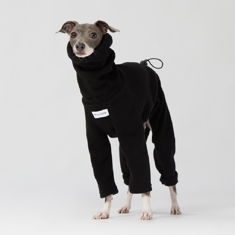 Lemmikloomad Tooted Moodsad kostüümid itaalia hurta ja whibit talveks