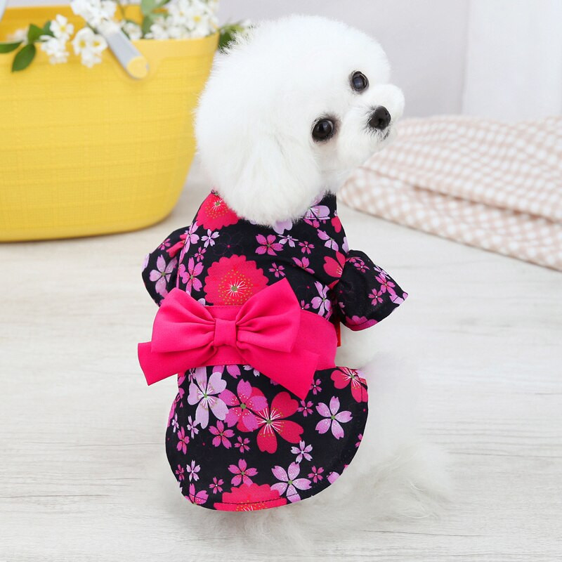 Oblečenie pre psov v japonskom štýle, letné tričko pre mačky, kostýmy pre šteniatka, yorkshirské teriéry, yorkshirské pomeraniany, pudely, bišony, bradáče, oblečenie, outfity