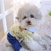 Karu Nelja jalaga jope Koer Lemmiklooma riided Puuvillane Jumpsuits Koerad Riided Kass Väike trükis Armas Sügis Talv Kollane Poiss Yorkshire