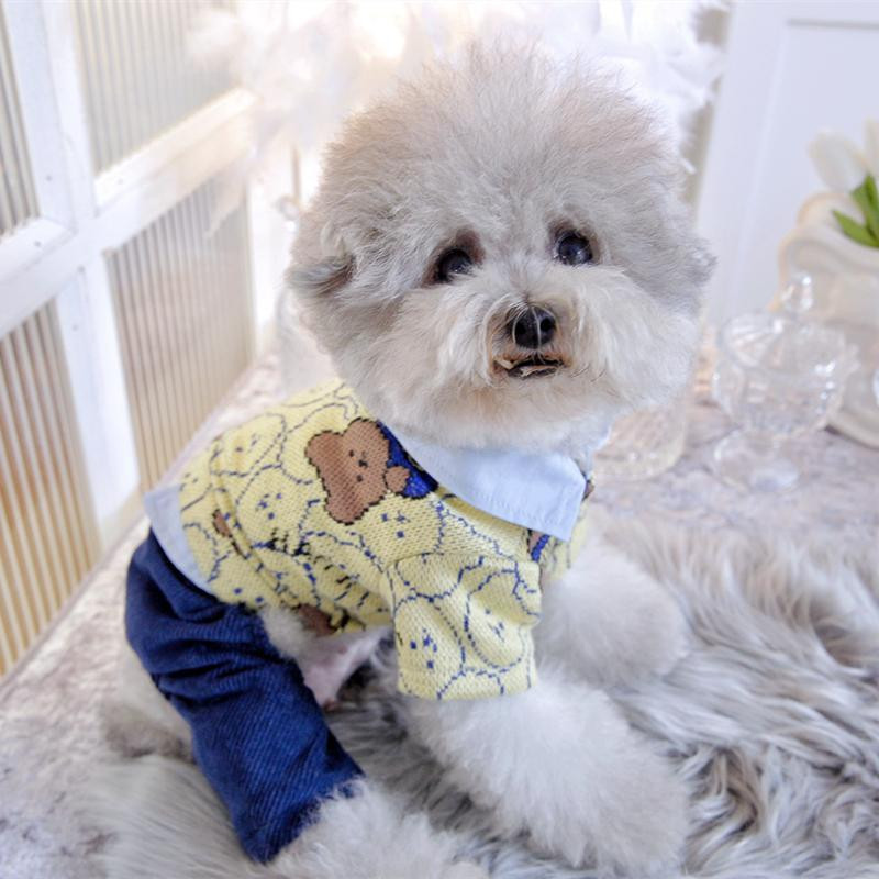 Karu Nelja jalaga jope Koer Lemmiklooma riided Puuvillane Jumpsuits Koerad Riided Kass Väike trükis Armas Sügis Talv Kollane Poiss Yorkshire