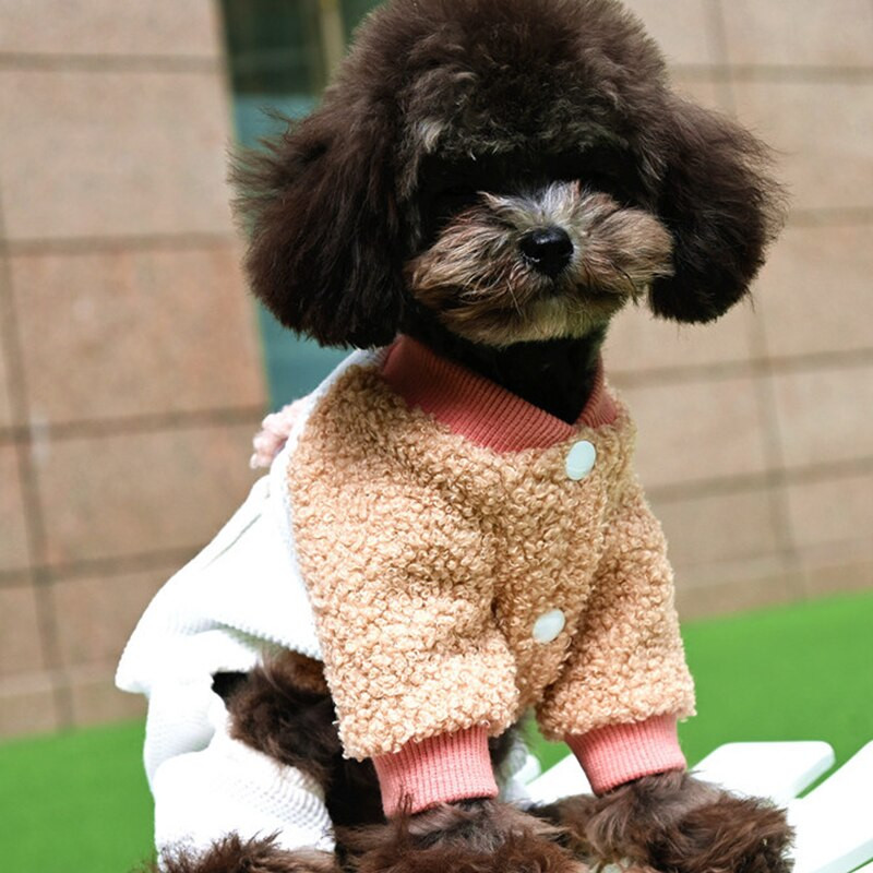 Oblečenie pre psov Zimné overaly Malý pes Kostým Domáce zvieratá Overal Pomeranian Bichon Pudel Schnauzer Roztomilé oblečenie pre domáce zvieratá Psí kabát