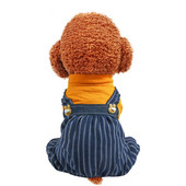 Neljajalgsete koerte riided Lemmikloomad Tooted Mood Triibulised Kombinesoonid Tumedad Püksid Riputus Koerasärk igaks aastaajaks