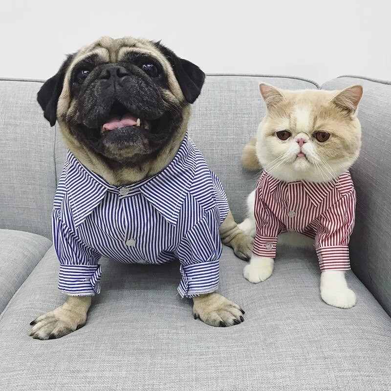 Cămașă pentru câini Haine de vară pentru cățeluși, mijlocii, haine pentru câini, haină, haină, pisică, schnauzer, vestă, costume, buldog francez, pug BNC02