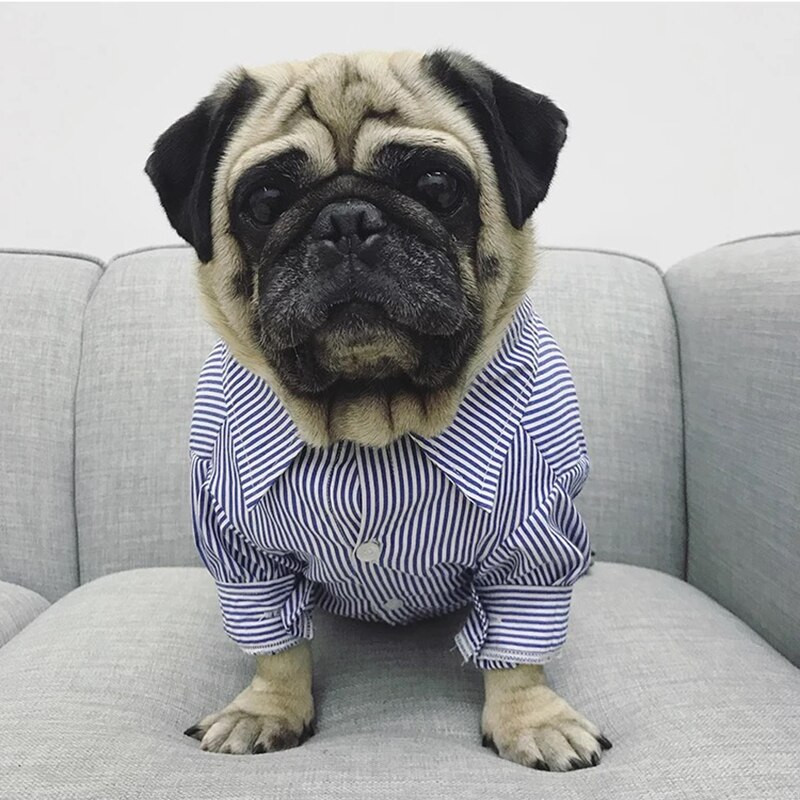 Cămașă pentru câini Haine de vară pentru cățeluși, mijlocii, haine pentru câini, haină, haină, pisică, schnauzer, vestă, costume, buldog francez, pug BNC02