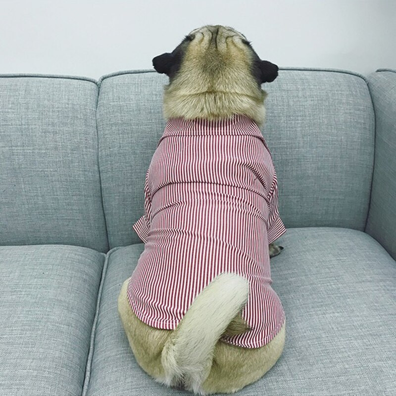Cămașă pentru câini Haine de vară pentru cățeluși, mijlocii, haine pentru câini, haină, haină, pisică, schnauzer, vestă, costume, buldog francez, pug BNC02