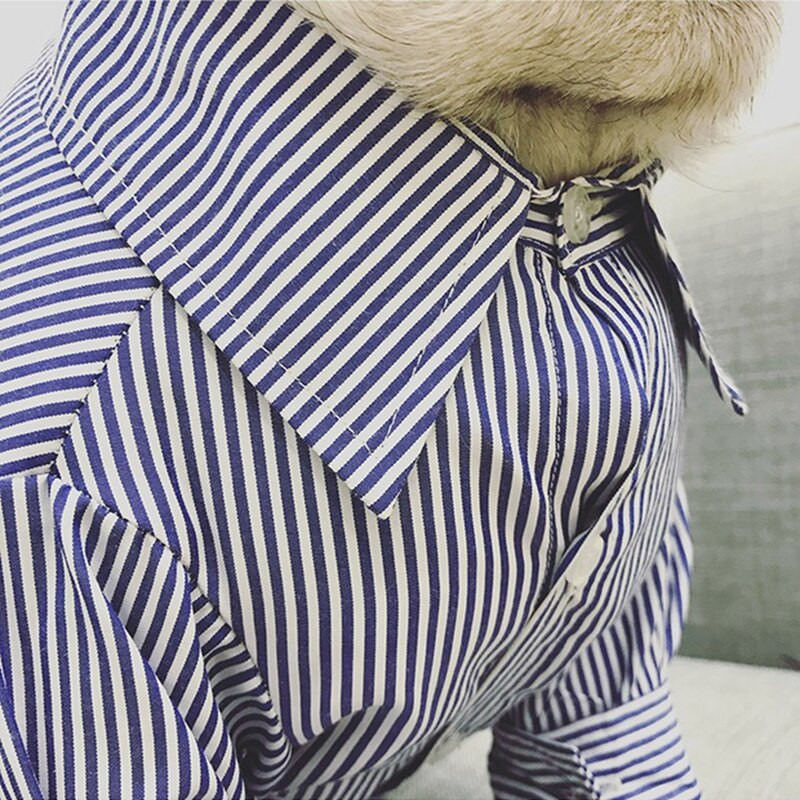 Cămașă pentru câini Haine de vară pentru cățeluși, mijlocii, haine pentru câini, haină, haină, pisică, schnauzer, vestă, costume, buldog francez, pug BNC02